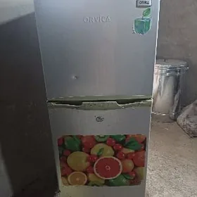 Holadılnık satjak bolyan