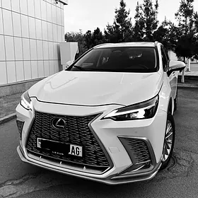 Lexus NX 250 2022