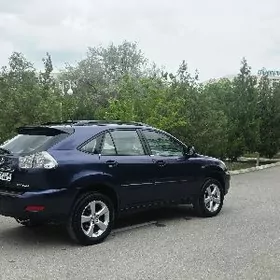 Lexus RX 330 2004