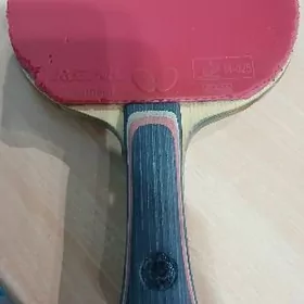 Tennis arginal raketga