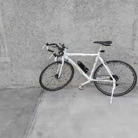 спартивни тигир