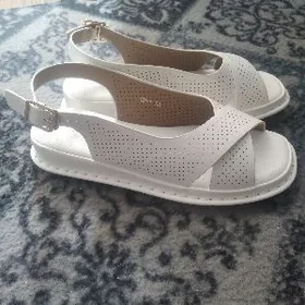 Тазе басаножки