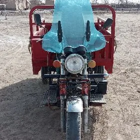 Fekon FK200-14G 2019