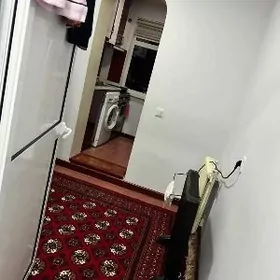 11 mikroyyn arenda!!!!