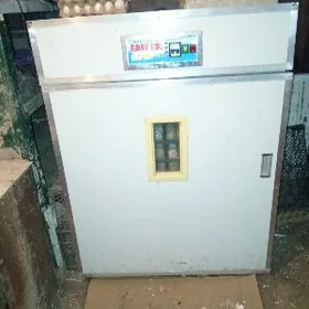 Inkubator Инкубатор