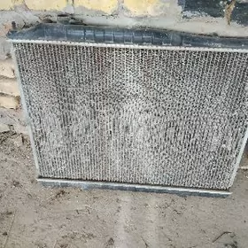 RUNNER GALOWKA RADYATYR