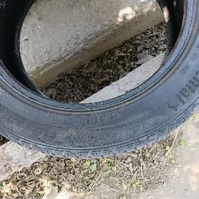 215/55/R17 Continental  ýyl22