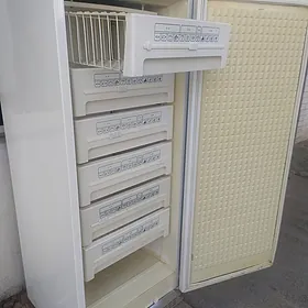 Моразильник