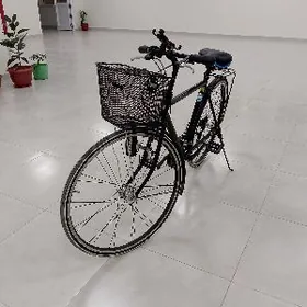 TİGİR BRİGESTONE 27LİK