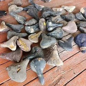 veligin oturgujy sidenya