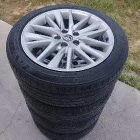 21kemri diska ARGINAL