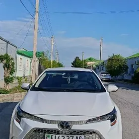 Toyota Corolla 2021