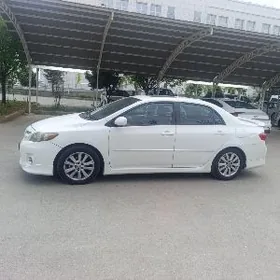 Toyota Corolla 2010