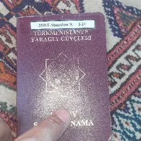 Waýeny biled tapdym