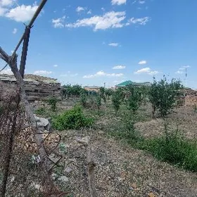 berzen kanal daca 10sotyk