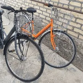 tigir Ýapoşga welik