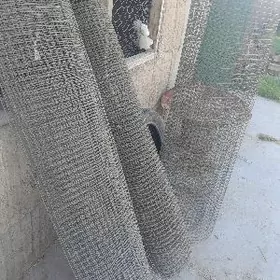 GUŞ  ÝATAGA  SETGA