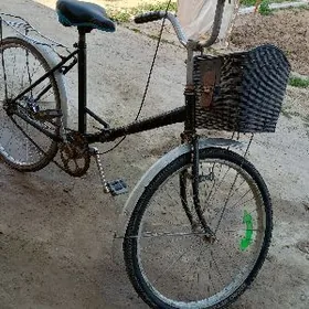 24 lik yaponuski welik