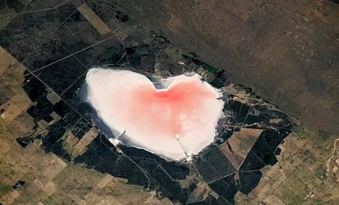 NASA показало огромное розовое озеро-сердце в Аргентине: почему оно такого цвета?