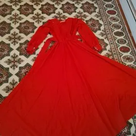 вечерний койнек