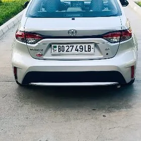 Toyota Corolla 2021