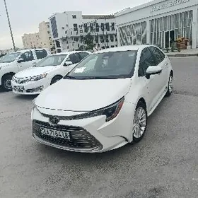 Toyota Corolla 2025