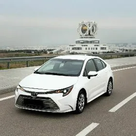 Toyota Corolla 2024