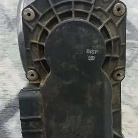 Заслона - Zaslonka