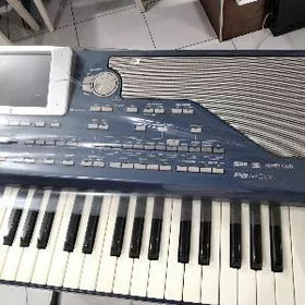 korg pa800