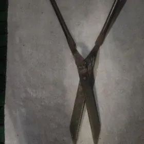 Gaýçy/Ножницы