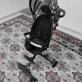 Коляска Арасса йагдайда