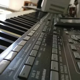 KORG PA3X