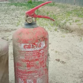 Agnusitil (ot sonduji)