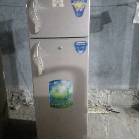 Elektronika haladilnyk