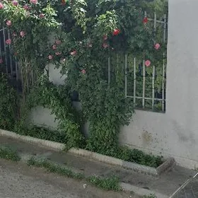 мини кодедж