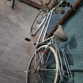 tigir 27 lik 3skorsly