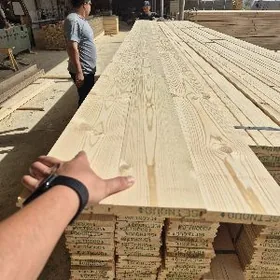 (TÄZE AGAÇ) POL USSA