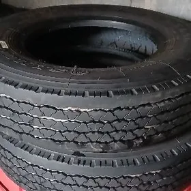 pakryșka forland 16 saylun