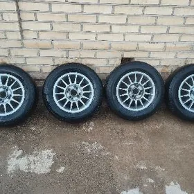 13lik diska pakryska