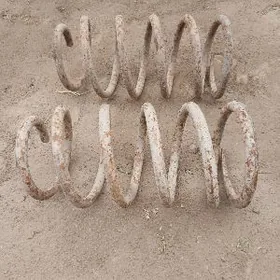 PURŽIN