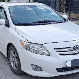 Toyota Corolla 2010