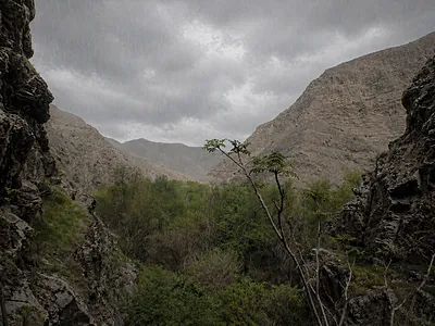 Готовьте зонты — неделя будет дождливой: прогноз погоды в Туркменистане