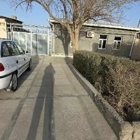 Mary saher 5sotok howly jay