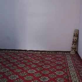 Büzmeýin krug arenda