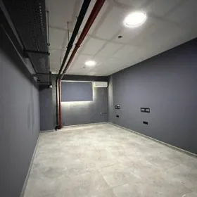 Satlyk Gurtly padwal taze