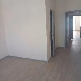 Химик элитка