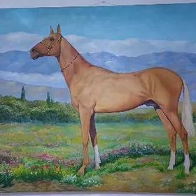 Elde cekilen partiret