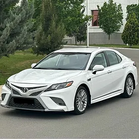 Toyota Camry 2019