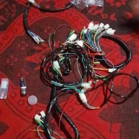 fekon tok uguryny duzyan