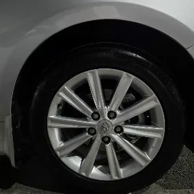 PALTAŃ XLE TEKER 17